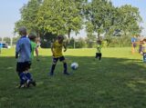 Mini Toernooitje op Sportpark Het Springer met S.K.N.W.K. JO7 en De Jonge Spartaan JO7 (115/174)